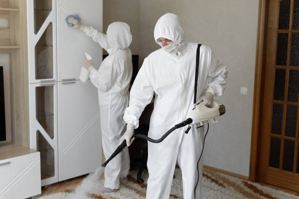 Certified Mold Removal in Eldora, IA